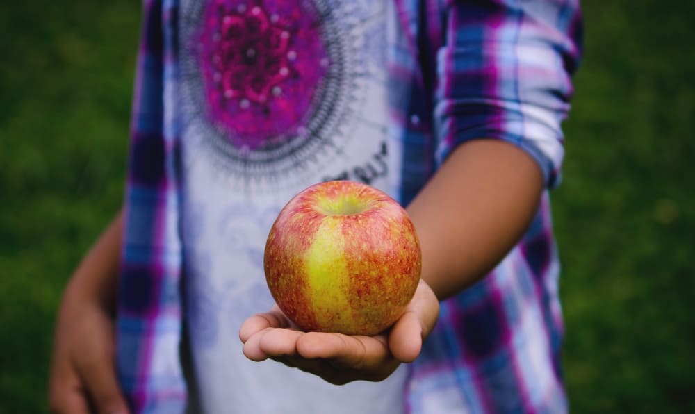 Have an apple