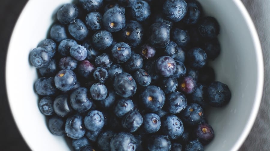 BLUEBERRIES brandon-wilson-52838-unsplash